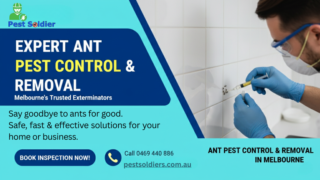 Ant Pest Control & Removal in Melbourne