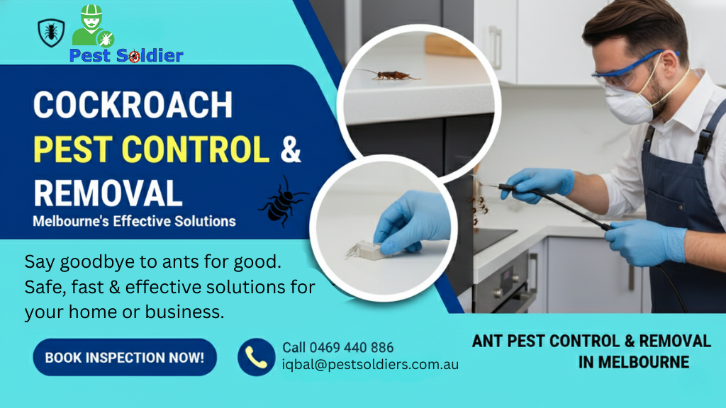 Cockroach Pest Control & Removal in Melbourne