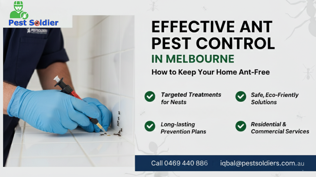 Effective Ant Pest Control in Melbourne: How to Keep Your Home Ant-Free