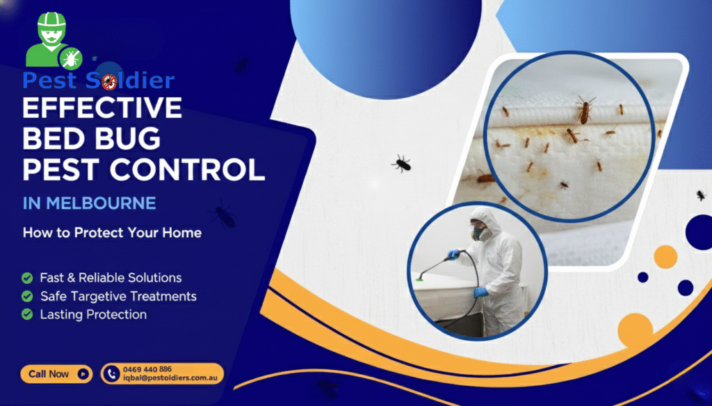 Bed Bug Pest Control in Melbourne