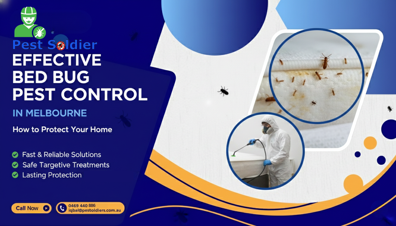 Bed Bug Pest Control in Melbourne
