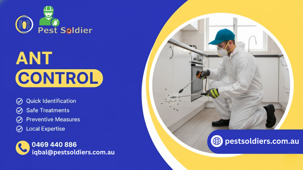 Looking for Reliable Pest Control for Ants in Melbourne