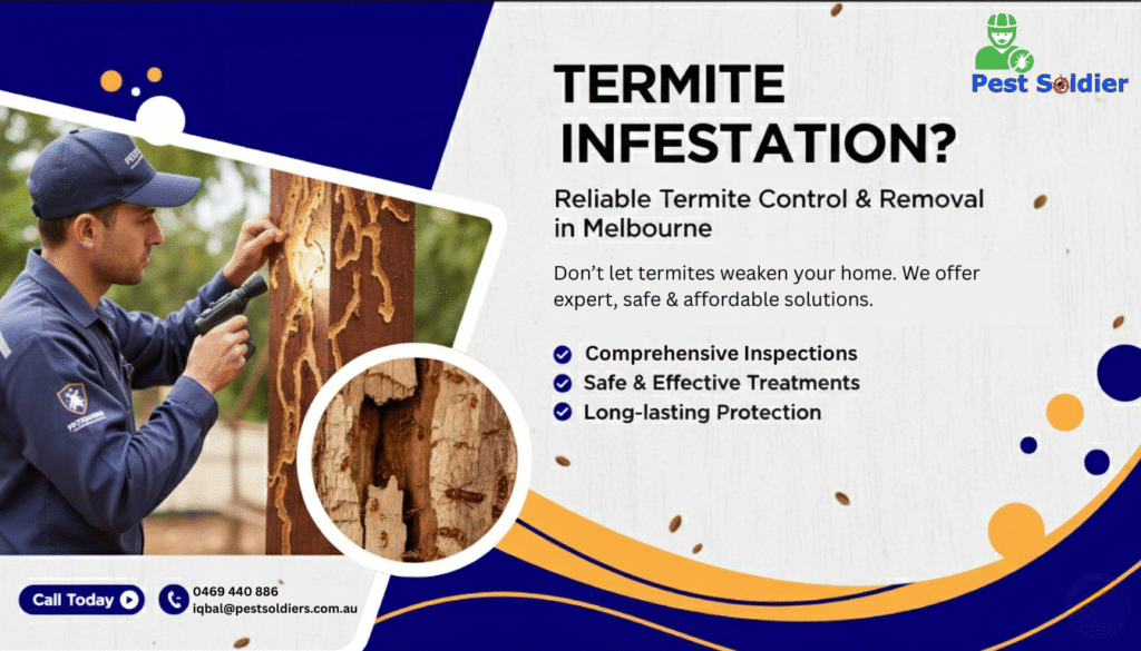 Termite Infestation