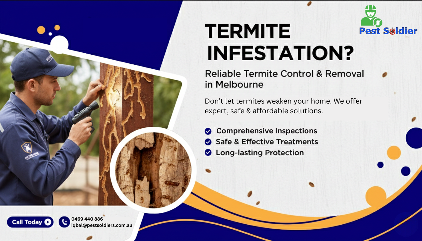 Termite Infestation