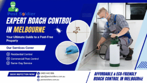 Why Roaches Come Back – Expert Roach Control in Melbourne