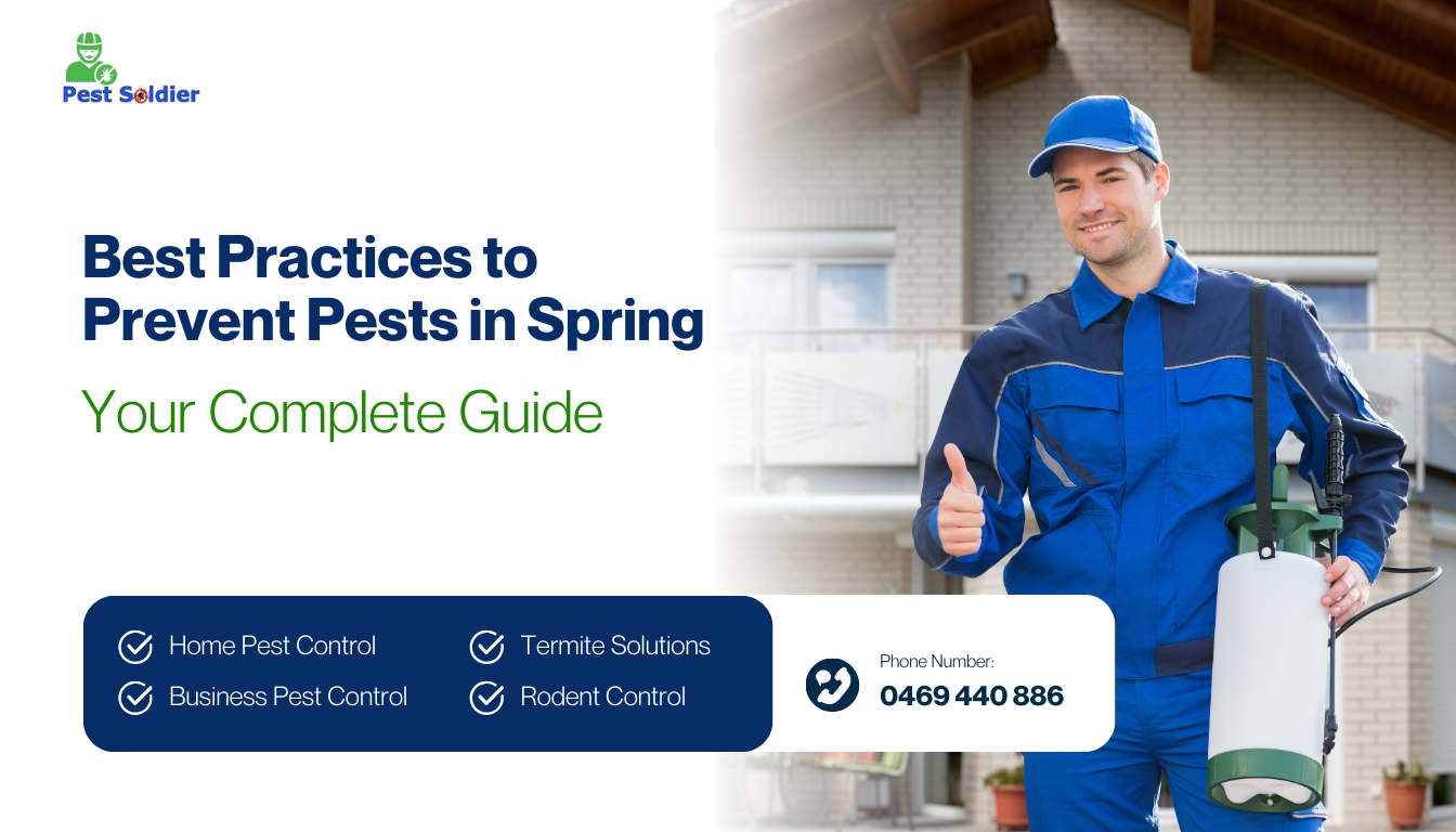Best Practices to Prevent Pests in Spring: Your Complete Guide