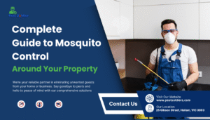 Complete Guide to Mosquito Control Around Your Property