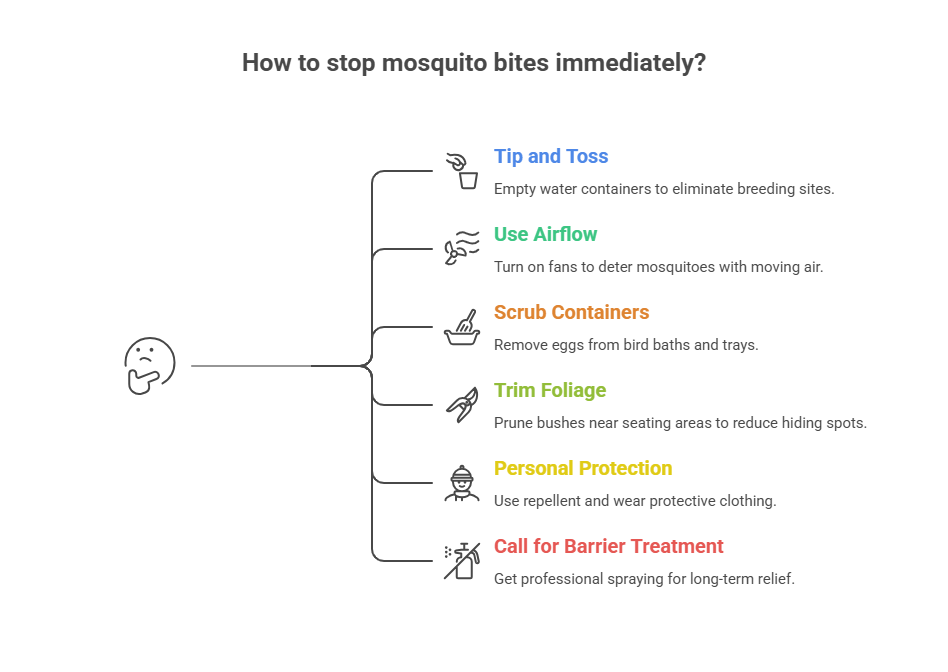 Immediate Actions to Stop Mosquito Bites