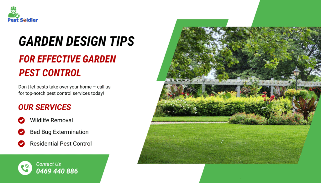 Smart & Bug-Free Garden Design Tips for Effective Garden Pest Control