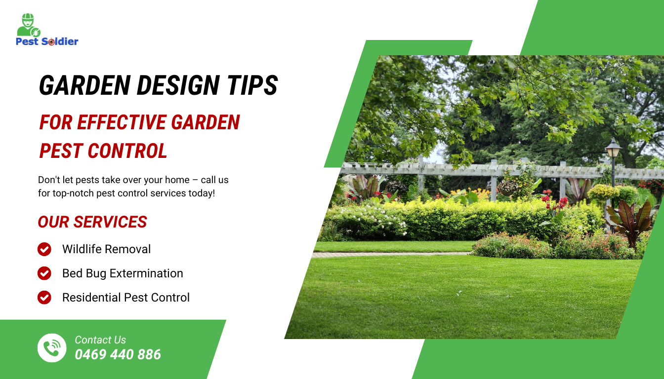 Smart & Bug-Free Garden Design Tips for Effective Garden Pest Control