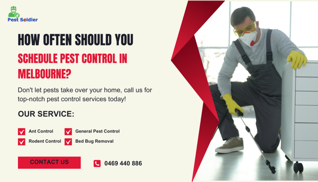 How Often Should You Schedule Pest Control in Melbourne?