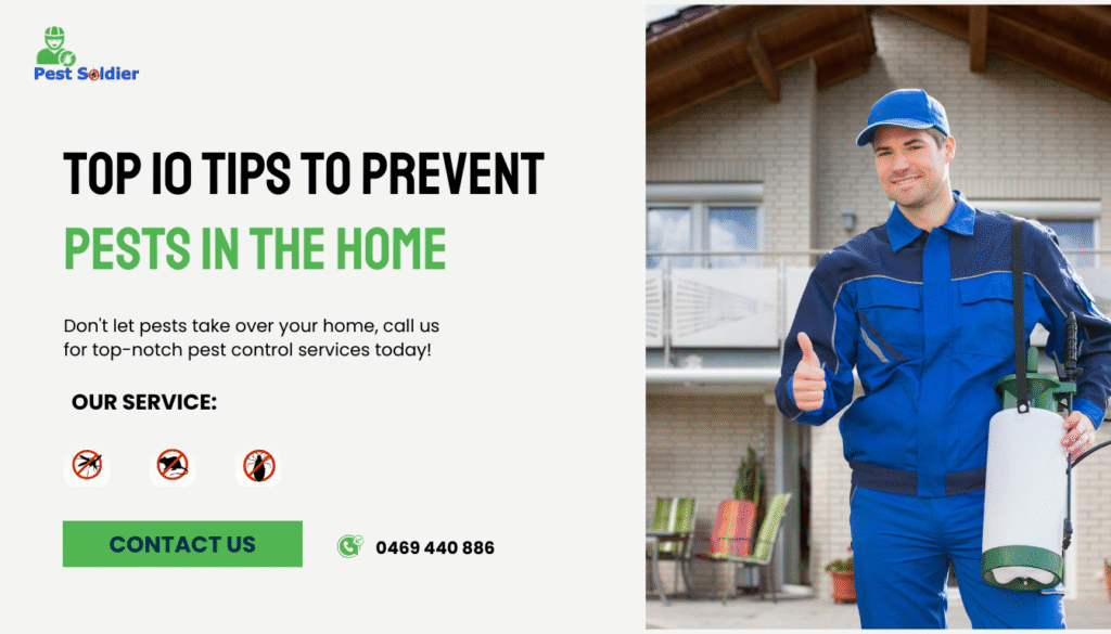 Top 10 Tips to Prevent Pests in the Home