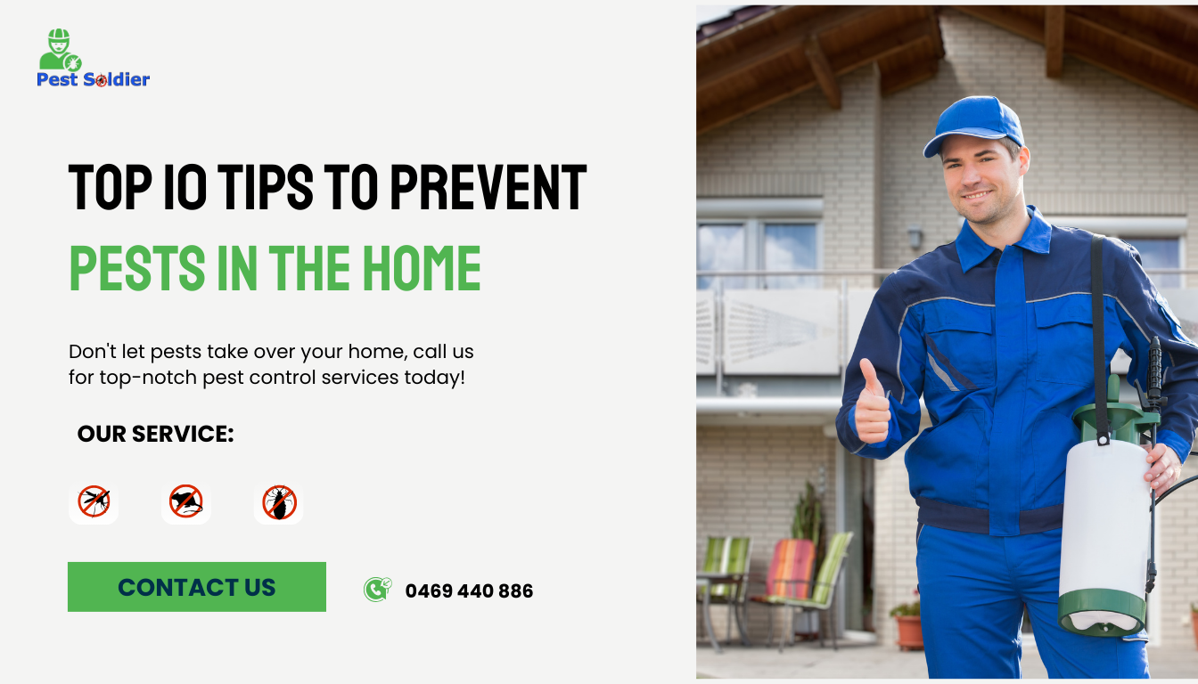 Top 10 Tips to Prevent Pests in the Home