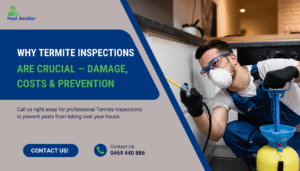 Why Termite Inspections Are Crucial — Damage, Costs & Prevention
