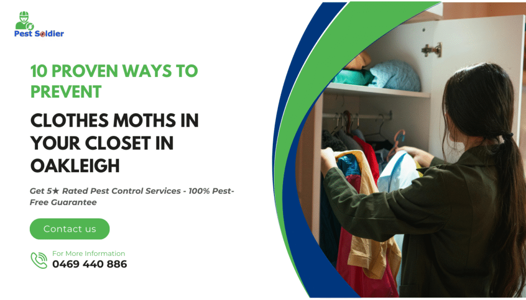 10 Proven Ways to Prevent Clothes Moths in Your Closet in Oakleigh