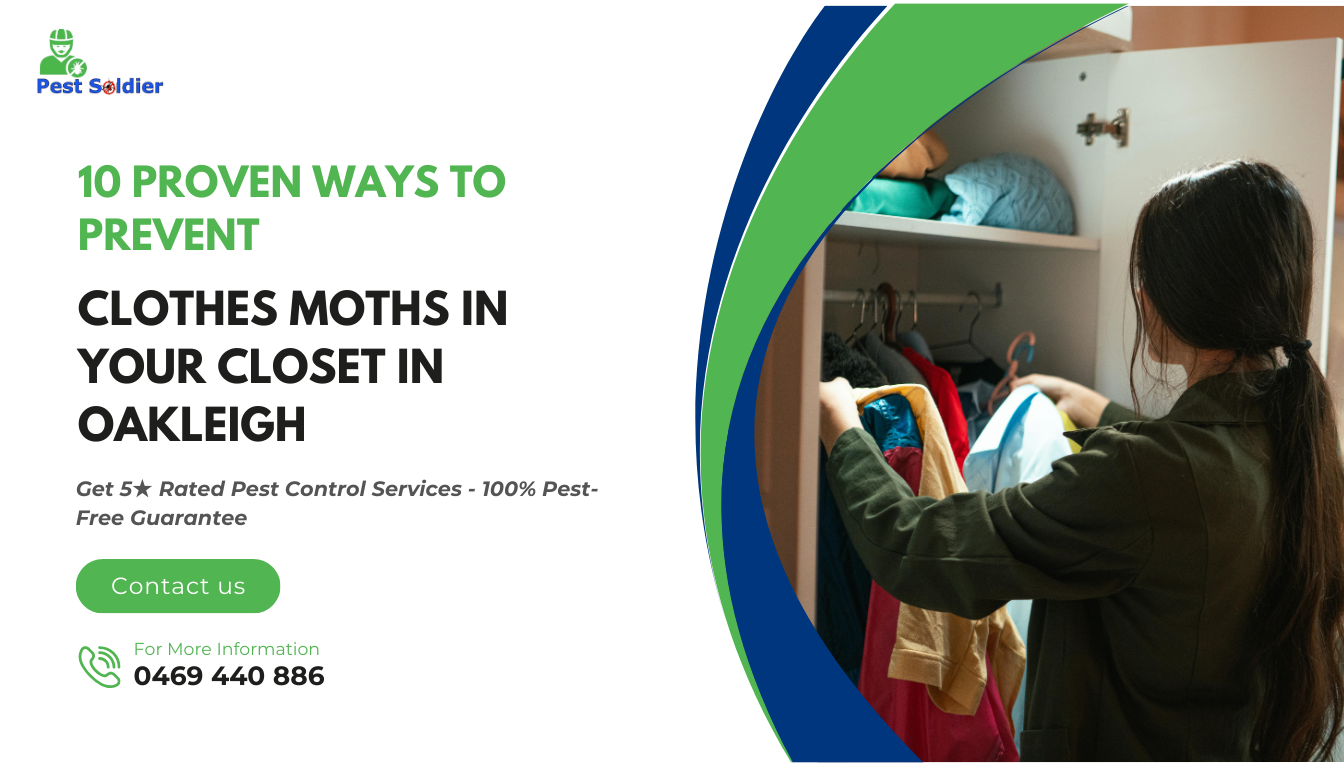 10 Proven Ways to Prevent Clothes Moths in Your Closet in Oakleigh