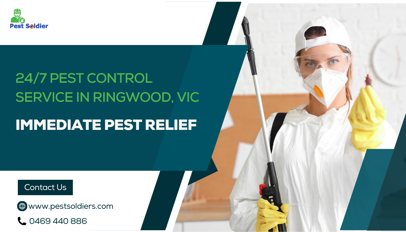 24/7 Pest Control Service in Ringwood | Premium Property Shield