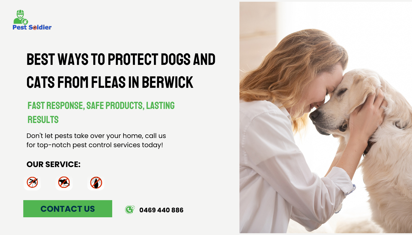 Best Ways to Protect Dogs and Cats from Fleas in Berwick
