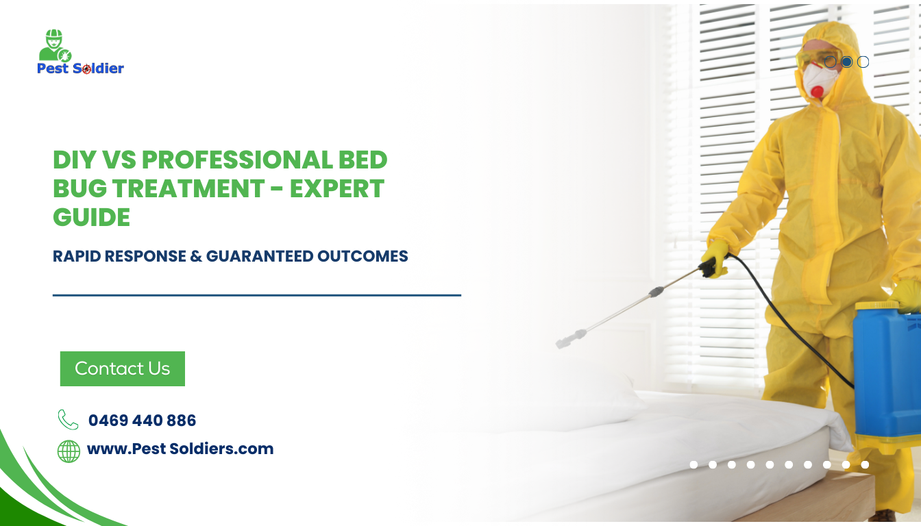 DIY vs Professional Bed Bug Treatment - Expert Guide
