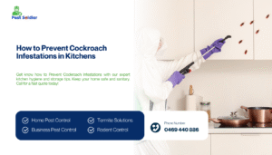 How to Prevent Cockroach Infestations in Kitchens