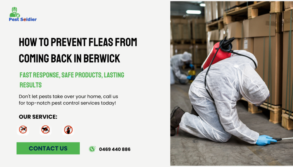 How to Prevent Fleas from Coming Back in Berwick