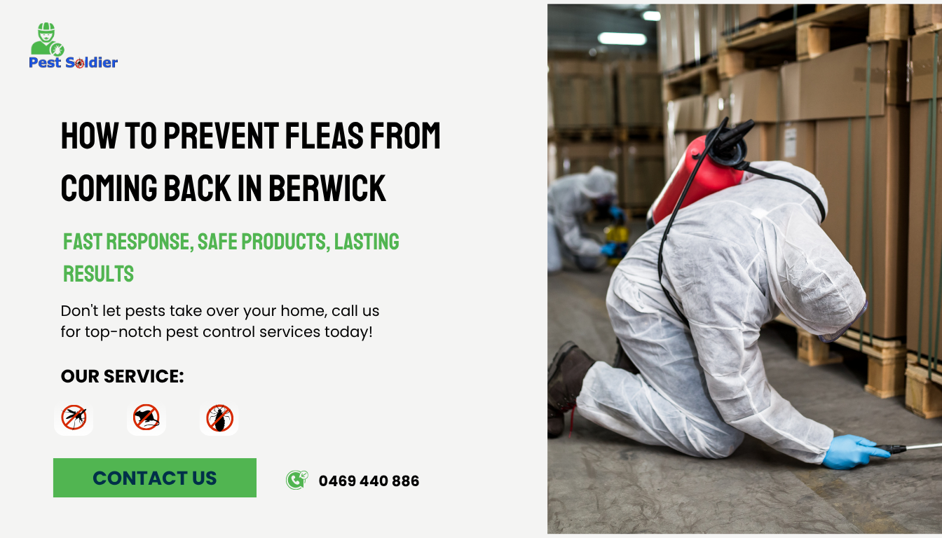 How to Prevent Fleas from Coming Back in Berwick