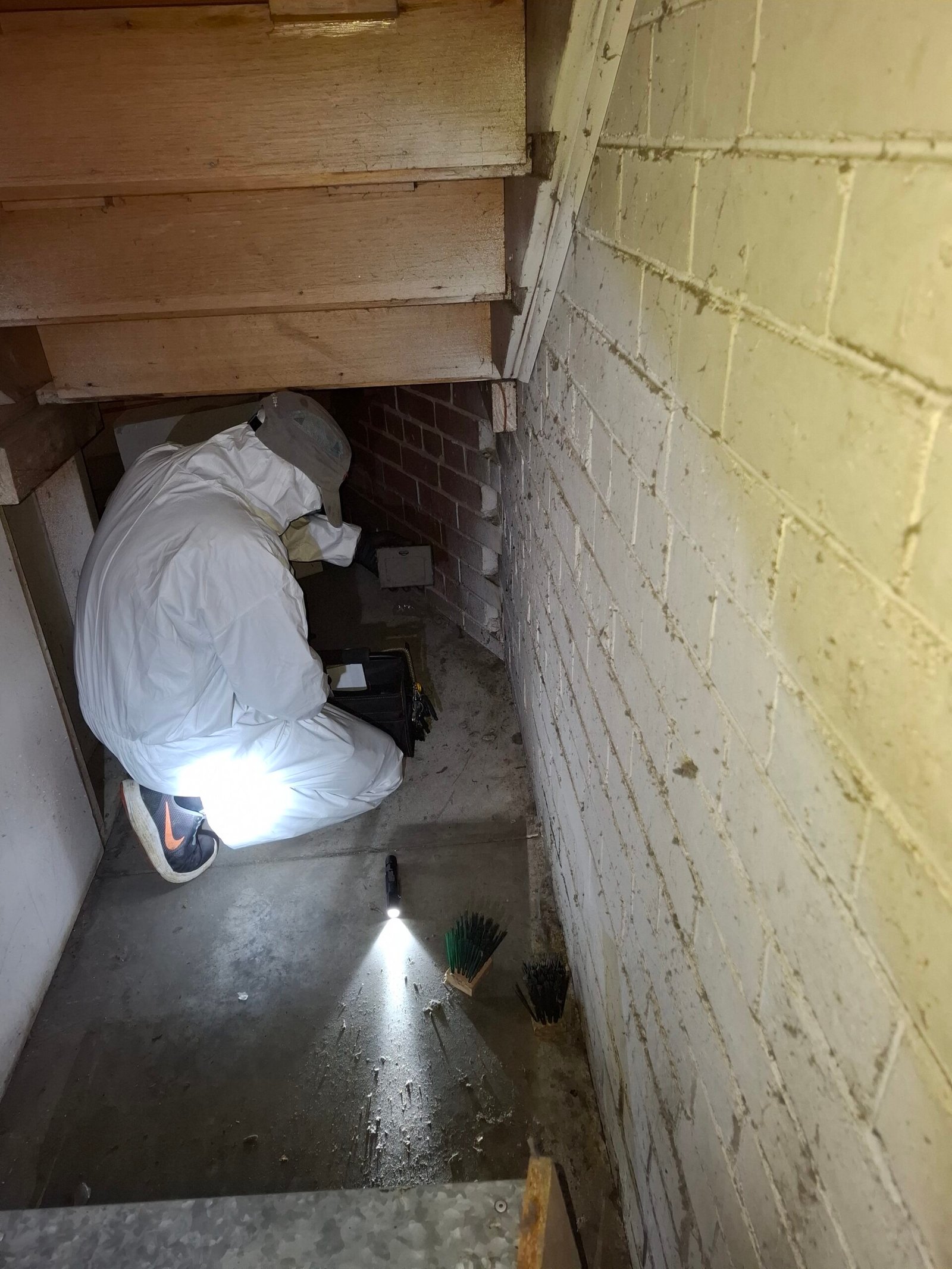 Residential Pest Control