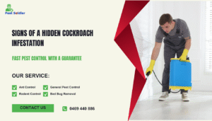 Signs of a Hidden Cockroach Infestation
