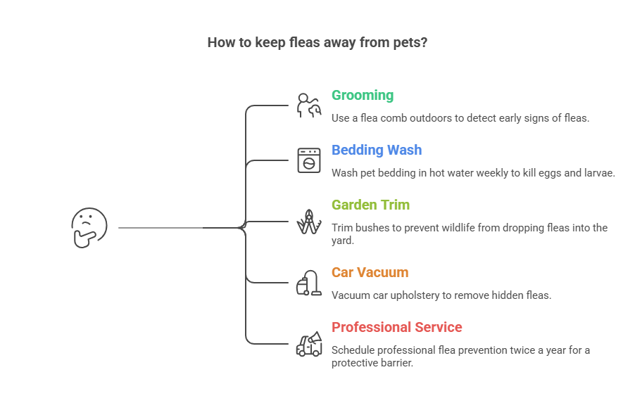 Our Proven Prevention Roadmap