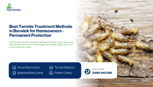 Best Termite Treatment Methods in Berwick for Homeowners - Permanent Protection