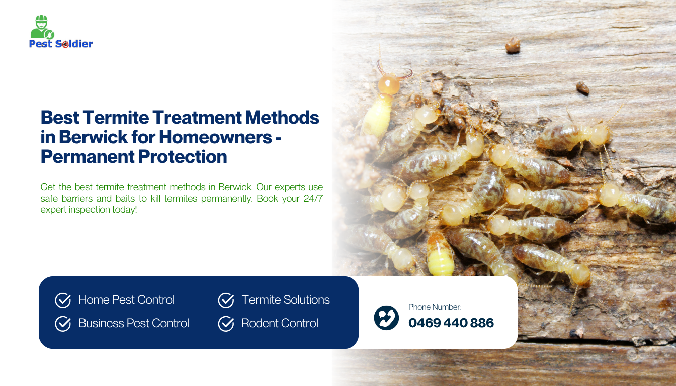 Best Termite Treatment Methods in Berwick for Homeowners - Permanent Protection
