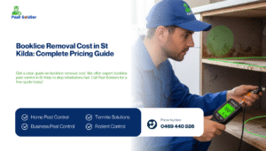 Booklice Removal Cost in St Kilda: Complete Pricing Guide