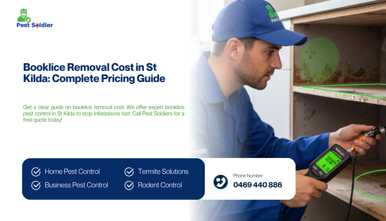 Booklice Removal Cost in St Kilda: Complete Pricing Guide