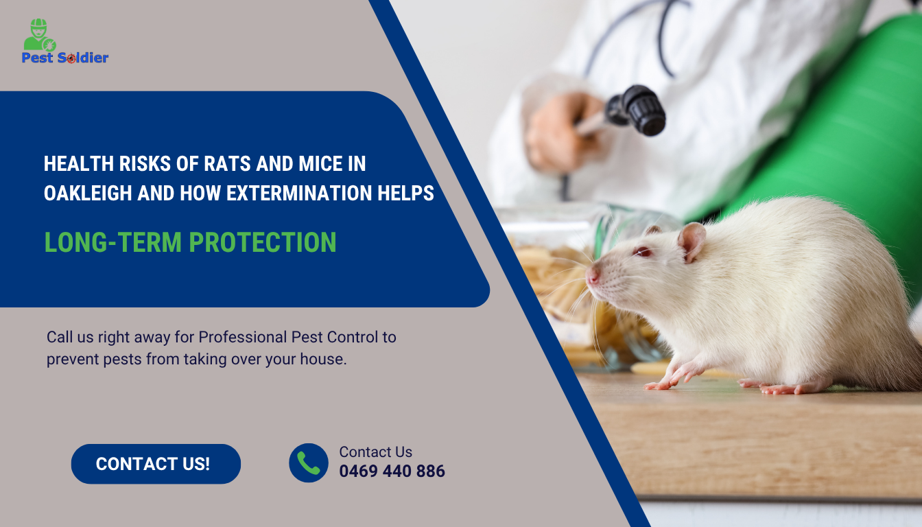 Health Risks of Rats and Mice in Oakleigh and How Extermination Helps