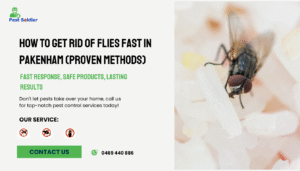 Fly Control Service in Pakenham for a Pest-Free Home