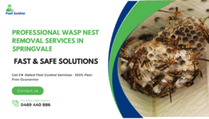 Professional Wasp Nest Removal Services in Springvale - Fast & Safe Solutions
