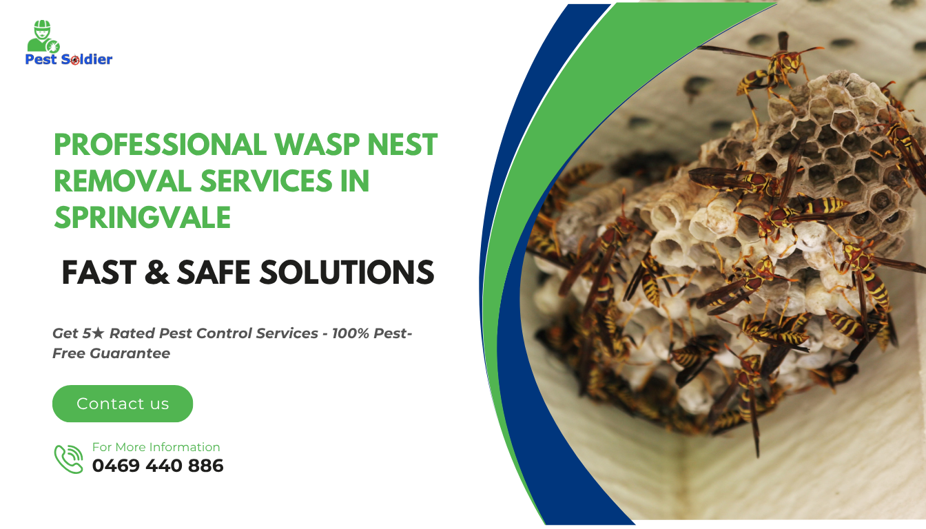 Professional Wasp Nest Removal Services in Springvale - Fast & Safe Solutions