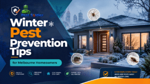 winter pest control tips