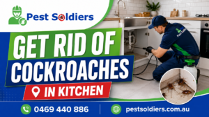 how to get rid of cockroaches in kitchen