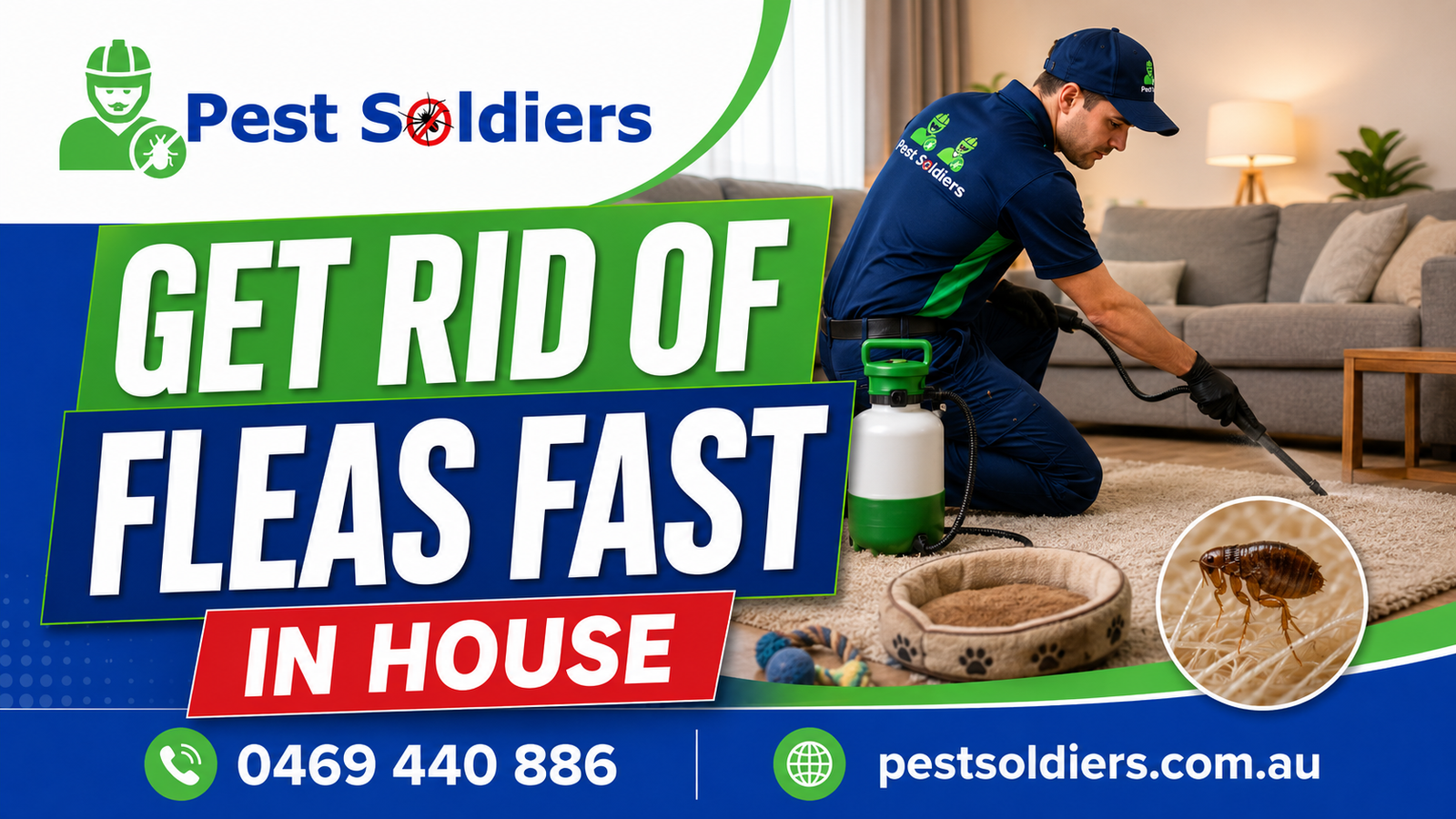how to get rid of fleas in house fast