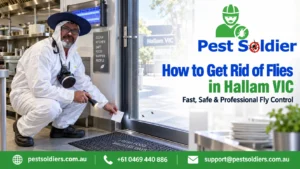 how to get rid of flies