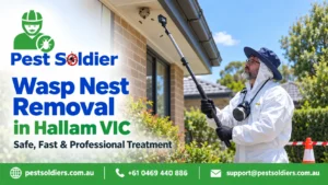 Wasp Nest Removal Hallam VIC
